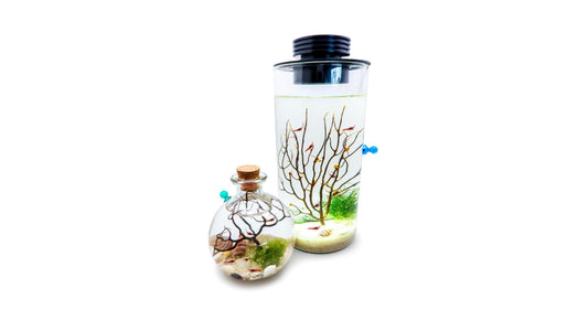 Guide on how to make a self sustainable shrimp ecosphere