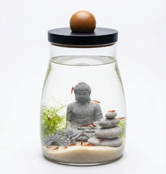 Zen Shrimp Ecosystem with LED Light (30 Opae ʻUla)