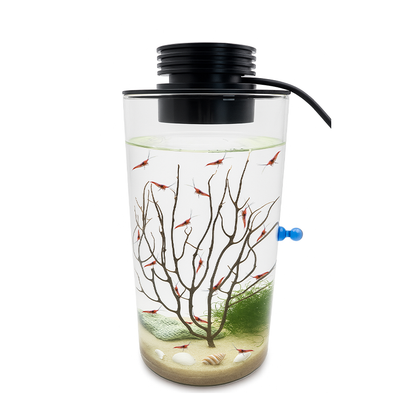 Self Sustaining Ecosystem With 20 Opae Ula And LED Light