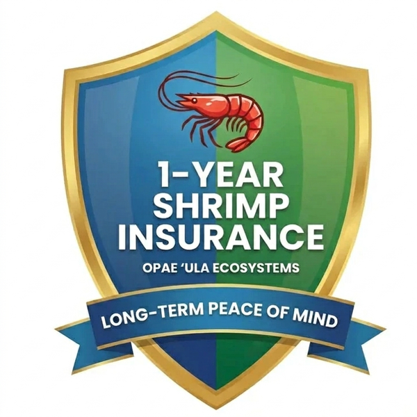 1-Year Shrimp Insurance (Opae ʻUla Ecosystems)