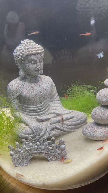 Zen Shrimp Ecosystem with LED Light (30 Opae ʻUla)